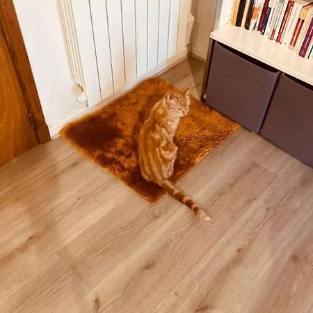 Cosy * Mas-d'Azil